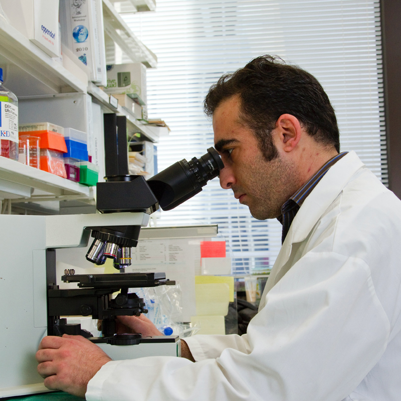 Clinical Research