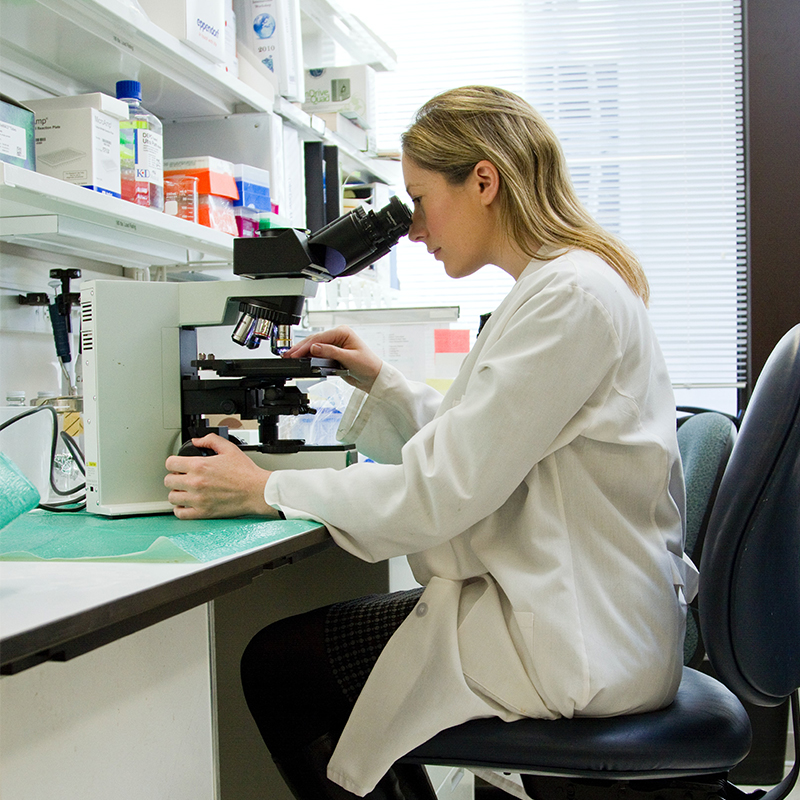 Endocrinology